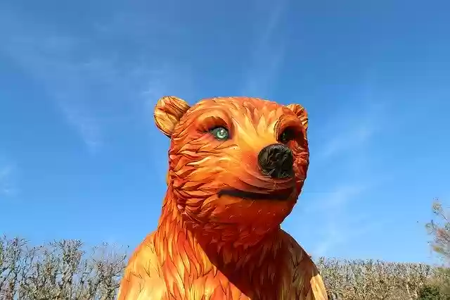 Free download Bear Silk Museum Of Natural -  free photo or picture to be edited with GIMP online image editor