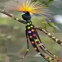 Beautiful bird wallpapers  screen for extension Chrome web store in OffiDocs Chromium