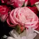 Beautiful bouquet  screen for extension Chrome web store in OffiDocs Chromium