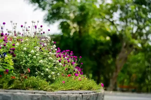 Beautiful flower garden  screen for extension Chrome web store in OffiDocs Chromium