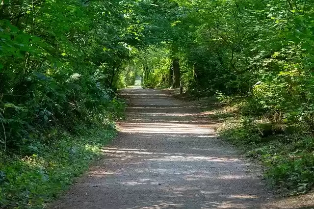 Free download Beautiful Green Landscape -  free photo or picture to be edited with GIMP online image editor