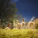 Beautiful herd of alpacas  screen for extension Chrome web store in OffiDocs Chromium