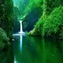 Beautiful Nature Pictures Wallpaper  screen for extension Chrome web store in OffiDocs Chromium