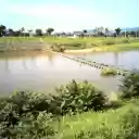 Beautiful peaceful scene  screen for extension Chrome web store in OffiDocs Chromium