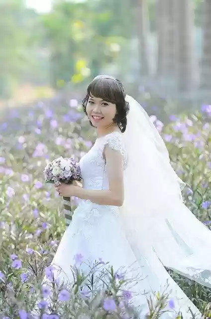 Free download Beautiful Photo Wedding -  free photo or picture to be edited with GIMP online image editor