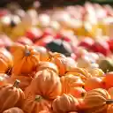 Beautiful pumpkins  screen for extension Chrome web store in OffiDocs Chromium