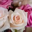 beautiful roses  screen for extension Chrome web store in OffiDocs Chromium