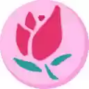 Beautify PCC Search  screen for extension Chrome web store in OffiDocs Chromium