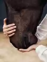 Free download Beauty comes in all forms. free photo or picture to be edited with GIMP online image editor