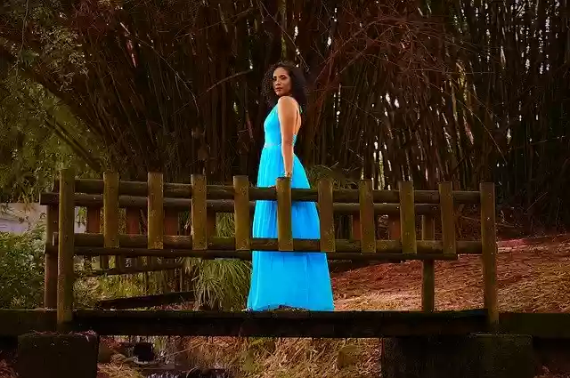 Free download Beauty Tree Trees -  free photo or picture to be edited with GIMP online image editor