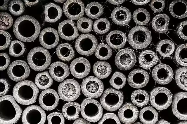 Free download Bee Hive -  free photo or picture to be edited with GIMP online image editor