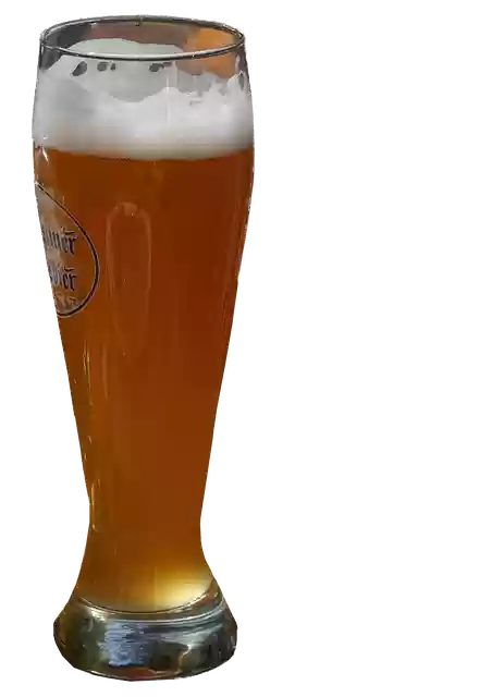 Free download Beer Mug Glass Wheat -  free illustration to be edited with GIMP free online image editor