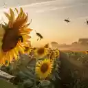 Bees in the Field  screen for extension Chrome web store in OffiDocs Chromium