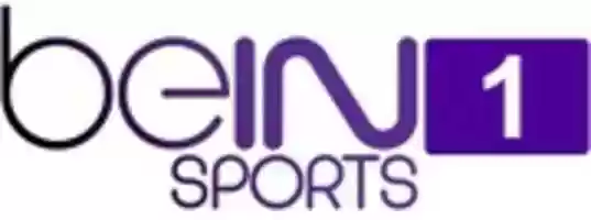 Free download Bein galaxy fox kix free photo or picture to be edited with GIMP online image editor