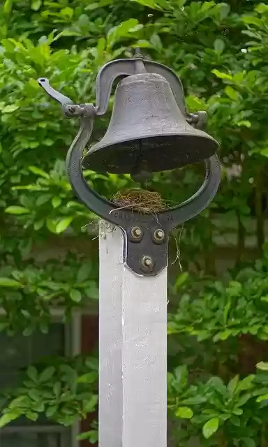 Free download Bell Birds Nest -  free photo or picture to be edited with GIMP online image editor