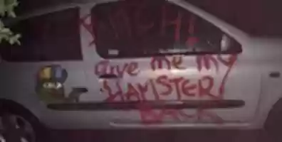 Free download Belle Delphine arrest images free photo or picture to be edited with GIMP online image editor