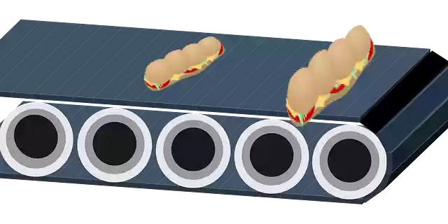 Free download Belt Conveyer Eggs - Free vector graphic on Pixabay free illustration to be edited with GIMP free online image editor