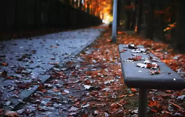 Free download bench autumn the path park leaf free picture to be edited with GIMP free online image editor
