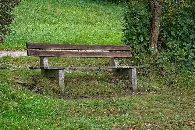 Free download Bench Forest Bank -  free photo or picture to be edited with GIMP online image editor