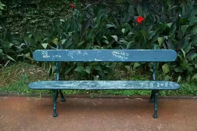 Free download Bench Park Meeting -  free photo or picture to be edited with GIMP online image editor