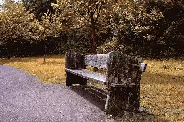 Free download Bench Park Wooden -  free photo or picture to be edited with GIMP online image editor
