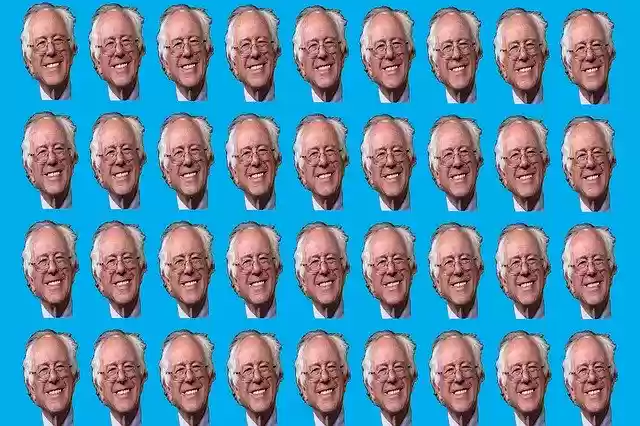 Free download Bernie Sanders Background Texture -  free illustration to be edited with GIMP free online image editor