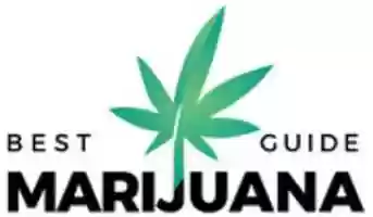 Free download Best Marijuana Guide free photo or picture to be edited with GIMP online image editor