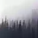 Best Nature wallpapers backgrounds  screen for extension Chrome web store in OffiDocs Chromium