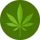 Best Portable Dry Herb Vaporizer  screen for extension Chrome web store in OffiDocs Chromium