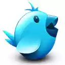 Tela Better Bird para extensão Chrome web store em OffiDocs Chromium