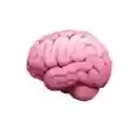 BetterGPTChatGPT Text Prompt Booster  screen for extension Chrome web store in OffiDocs Chromium