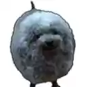 BetterYTL Improve live chat  screen for extension Chrome web store in OffiDocs Chromium