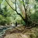 Bù Gia Mập National Park – A Pristine Haven of Biodiversity  screen for extension Chrome web store in OffiDocs Chromium