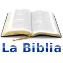 Biblia en Español  screen for extension Chrome web store in OffiDocs Chromium