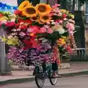 Bicycle carrying many flowers Wallpaper  screen for extension Chrome web store in OffiDocs Chromium