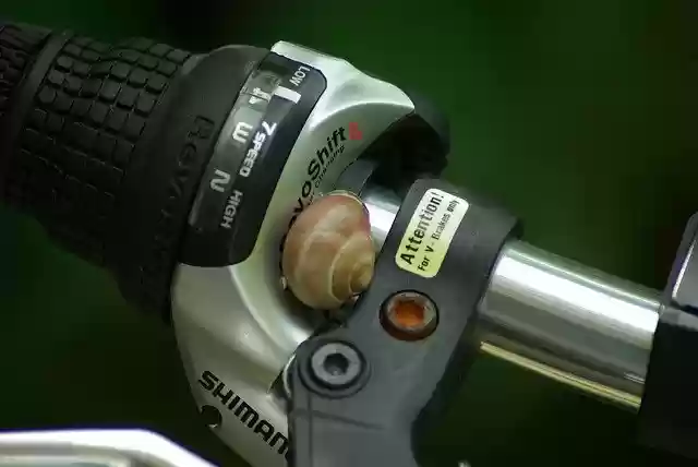 قم بتنزيل قالب صور مجاني لـ Bicycle Handlebar Snail Wet ليتم تحريره باستخدام محرر الصور عبر الإنترنت GIMP