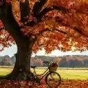 Bicycles and flower baskets  screen for extension Chrome web store in OffiDocs Chromium