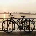 Bicycles parked by the lake  screen for extension Chrome web store in OffiDocs Chromium