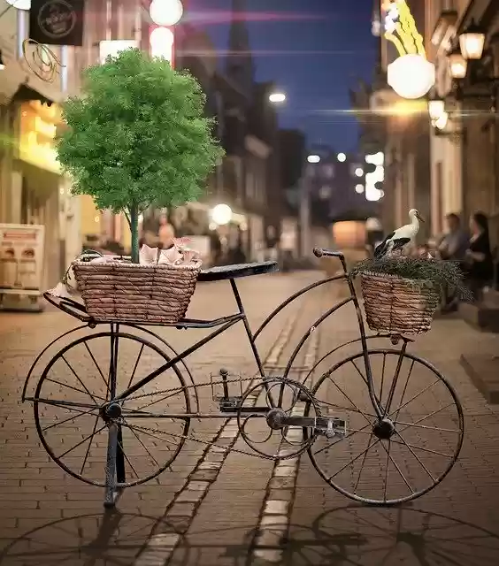 Free download Bicycle Street Tree -  free photo or picture to be edited with GIMP online image editor