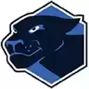 BidPanther for QuiBids, DealDash  screen for extension Chrome web store in OffiDocs Chromium