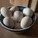 Big bowl of eggs  screen for extension Chrome web store in OffiDocs Chromium