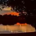 Big tree by the lake at sunset  screen for extension Chrome web store in OffiDocs Chromium