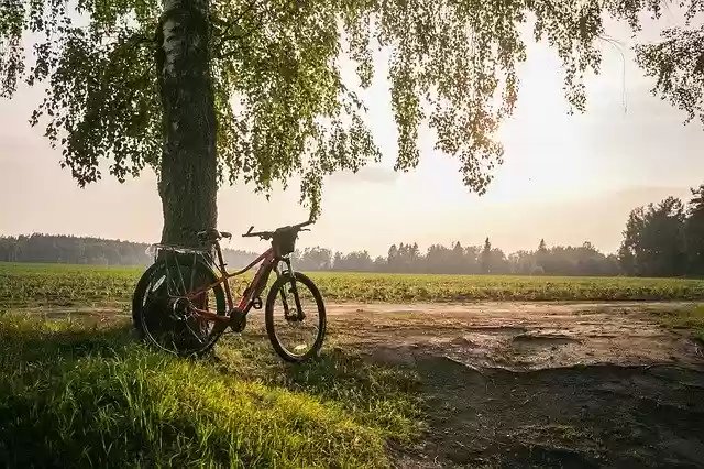Free download Bike Summer Nature -  free photo or picture to be edited with GIMP online image editor
