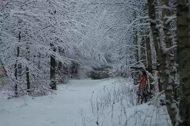 Free download Bike Winter Forest -  free photo or picture to be edited with GIMP online image editor