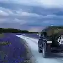 Bing Theme  screen for extension Chrome web store in OffiDocs Chromium