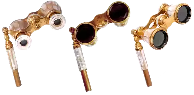 Free download Binoculars Theatre Old -  free illustration to be edited with GIMP free online image editor