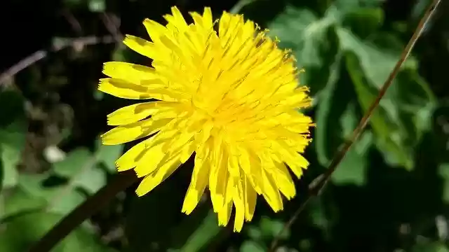 Free download Biodiversity Navarrevisca -  free photo or picture to be edited with GIMP online image editor