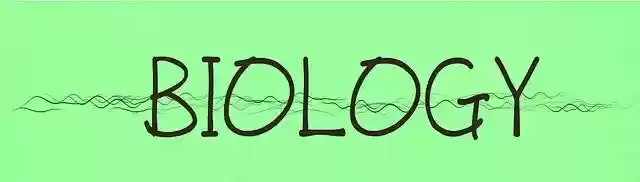 Free download Biology Banner Teach -  free illustration to be edited with GIMP free online image editor