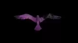 Free download Bird Abstract Colour -  free video to be edited with OpenShot online video editor