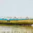 Bird boat  screen for extension Chrome web store in OffiDocs Chromium